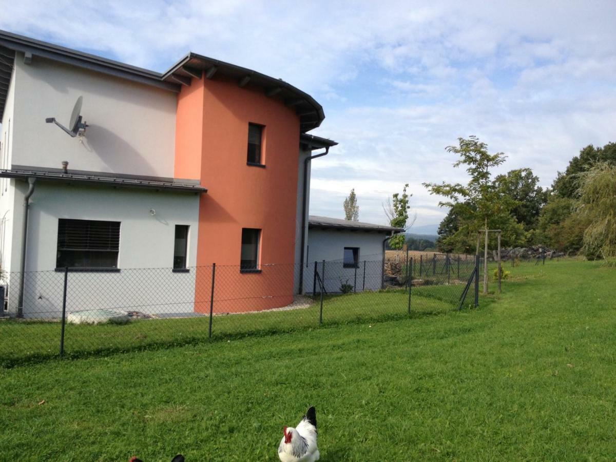 Haus Luna - Privatzimmer Im Sonnigen Suedburgenland Hackerberg Exteriér fotografie